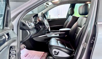 Mercedes-Benz ML 500 AMG Edition1 AHK Kamera Airmatic KeylesGo voll