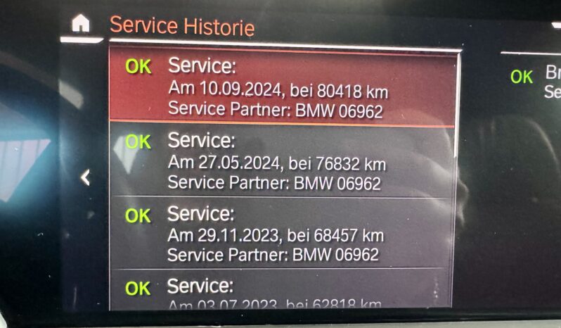 BMW X5 30d M Sport Individual DrivingAssist 360° voll