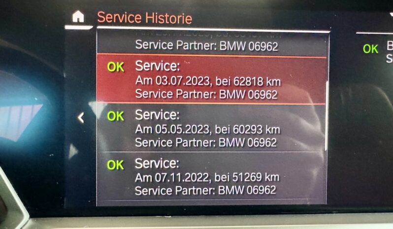 BMW X5 30d M Sport Individual DrivingAssist 360° voll