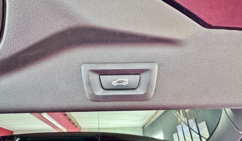 BMW X5 30d M Sport Individual DrivingAssist 360° voll