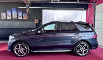 Mercedes-Benz GLE 500 AMG Offroad Paket Pano Distronic AHK 21″ voll