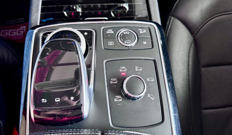 Mercedes-Benz GLE 500 AMG Offroad Paket Pano Distronic AHK 21″ voll