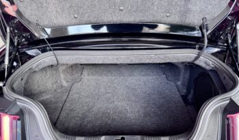 Ford Mustang GT 5.0 Convertible ACC Performance-Paket voll