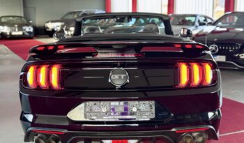 Ford Mustang GT 5.0 Convertible ACC Performance-Paket voll