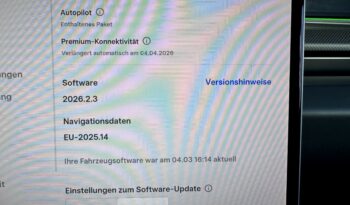 Tesla Model 3 Facelift Performance Dual AWD Steuer voll