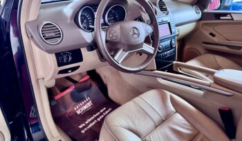 Mercedes-Benz ML 420 V8 CDI AMG Paket Glasdach Kamera Airmatic voll