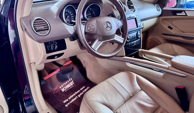 Mercedes-Benz ML 420 V8 CDI AMG Paket Glasdach Kamera Airmatic voll