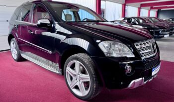 Mercedes-Benz ML 420 V8 CDI AMG Paket Glasdach Kamera Airmatic voll