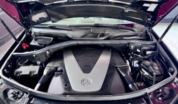 Mercedes-Benz ML 420 V8 CDI AMG Paket Glasdach Kamera Airmatic voll