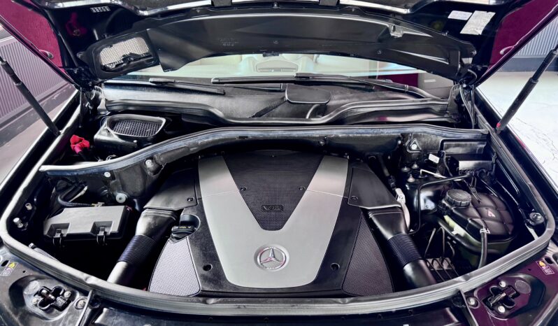 Mercedes-Benz ML 420 V8 CDI AMG Paket Glasdach Kamera Airmatic voll