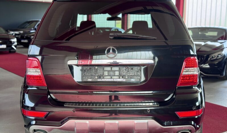 Mercedes-Benz ML 420 V8 CDI AMG Paket Offroad Paket AHK Kamera voll