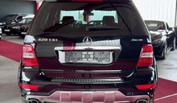 Mercedes-Benz ML 420 V8 CDI AMG Paket Glasdach Kamera Airmatic voll