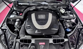 Mercedes-Benz E 500 Coupe AMG Line Pano Distronic Comand Kamera voll