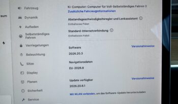 Tesla Model Y Long Range Dual AWD Schwarz Steuer voll