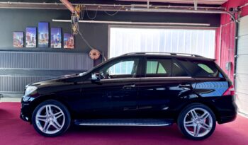Mercedes-Benz ML 350 CDI AMG Line Offroad AHK Pano Standheiz voll