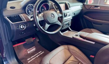 Mercedes-Benz ML 350 CDI AMG Line Offroad AHK Pano Standheiz voll