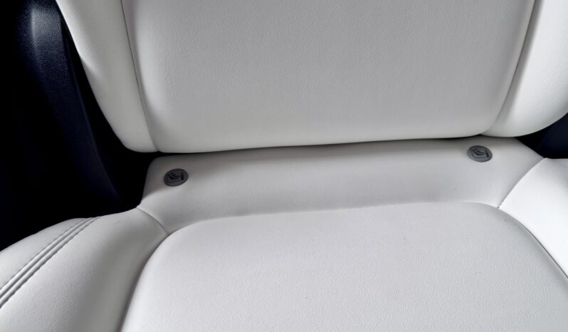 TESLA Model Y Long Range Dual AWD AHK 20 Zoll Steuer voll