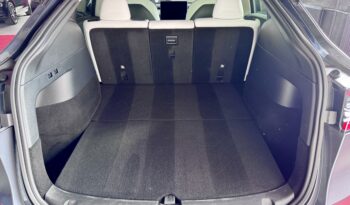 TESLA Model Y Long Range Dual AWD AHK 20 Zoll Steuer voll