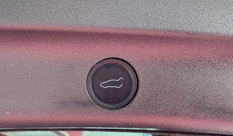 TESLA Model Y Performance Dual AWD All Black Steuer 21 Zoll voll